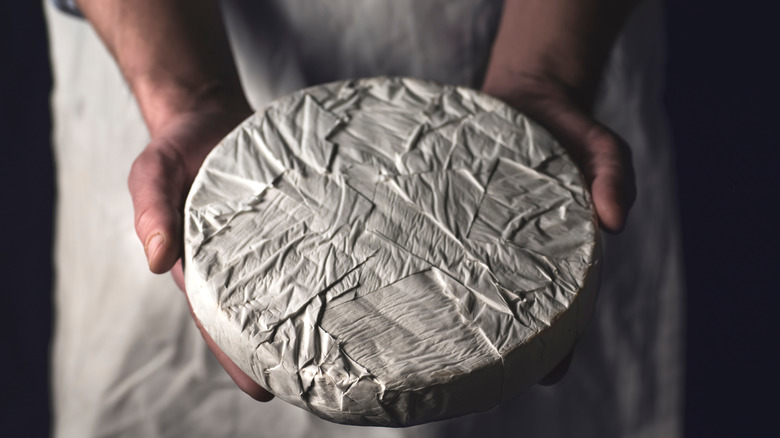 round brie cheese