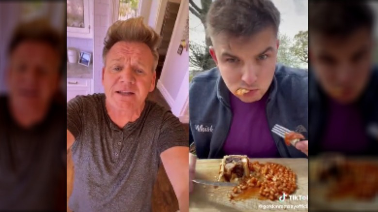 Gordon Ramsay on TikTok