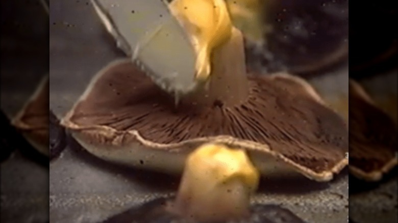 smearing butter on a mushroom 