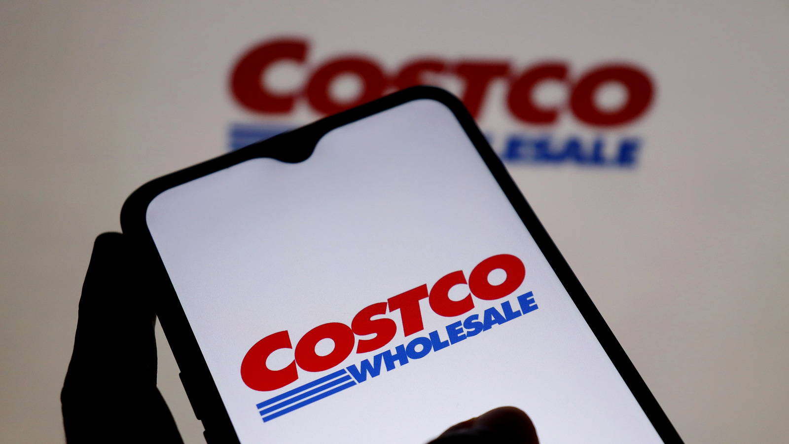 TikTok Is Raving Over Costco's Delicious Onion And Garlic Dip
