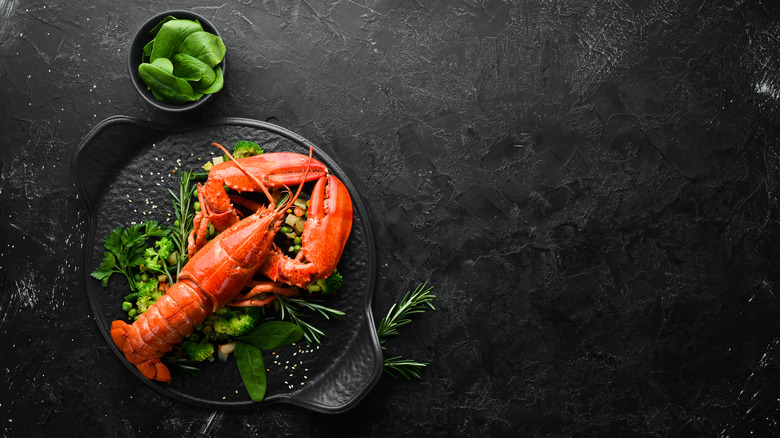 Lobster on plate with herbs and lettuce