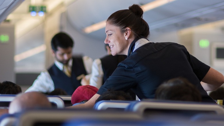 Flight Attendant