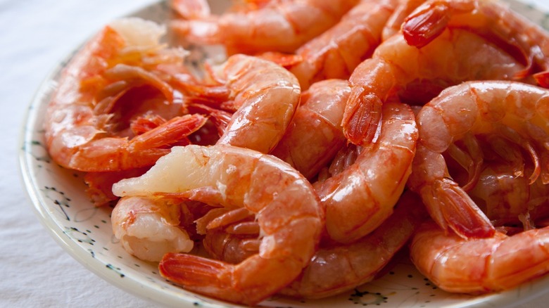 Red shrimp