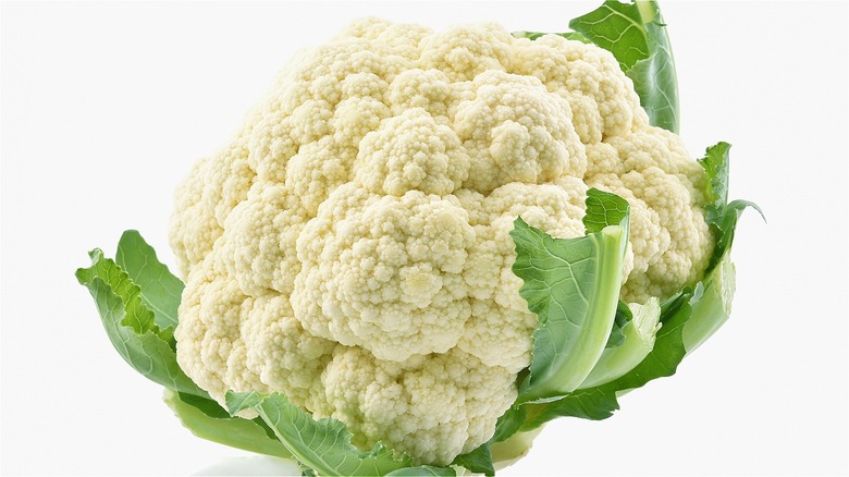 Cauliflower against a white background