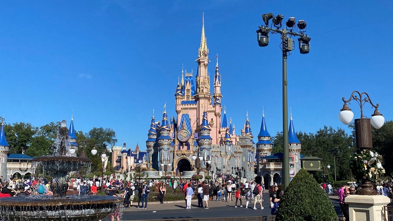 castle at Disney World