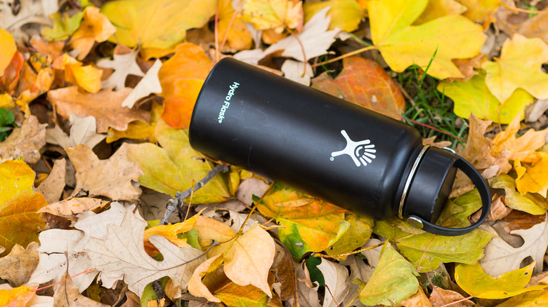 Hydro Flask laying in yellow fall leaves