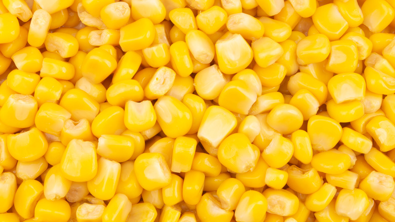   kukuřičná zrna