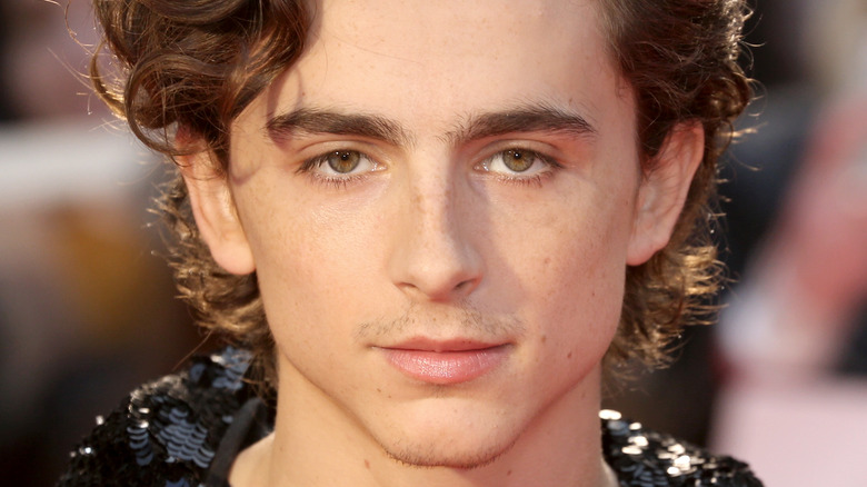 Timothée Chalamet