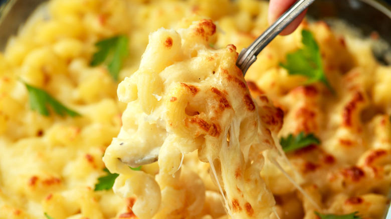 Spoon lifting mac and cheese