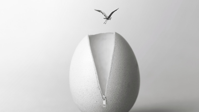 unzipping an egg with bird flying black and white art print