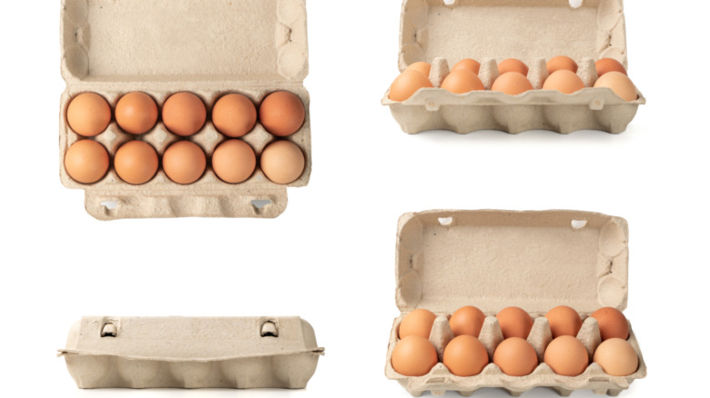 brown eggs in a carton