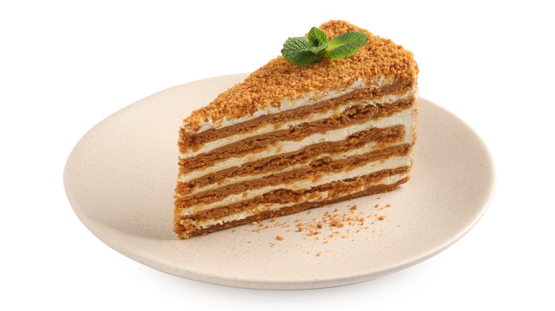 Cake slice with crumbs 