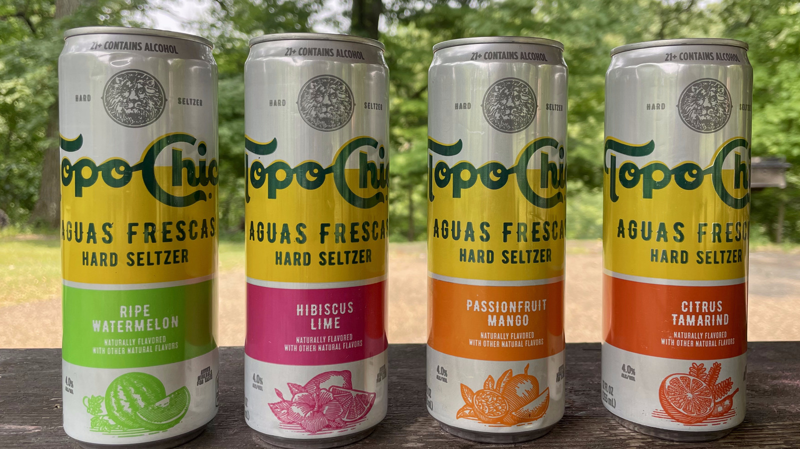 https://www.mashed.com/img/gallery/topo-chico-aguas-fresca-hard-seltzer-is-a-fresh-summer-sip/l-intro-1686134774.jpg