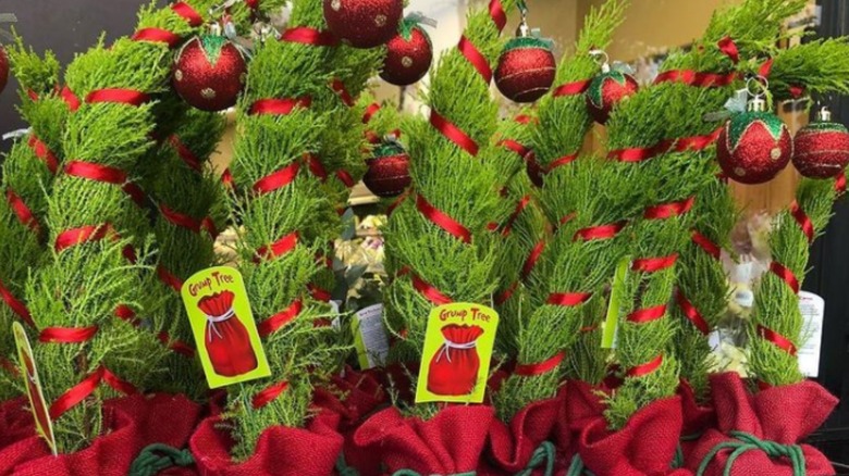 Grinchy trees from Trader Joe's