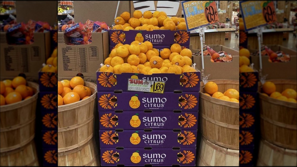 Boxes of Trader Joe's Sumo oranges