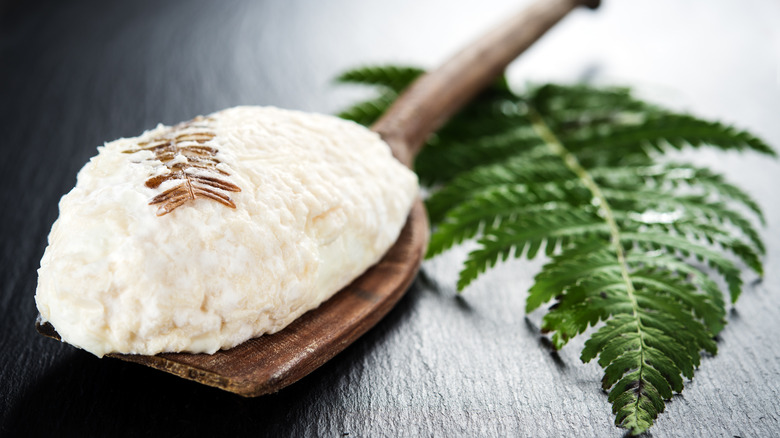 Spreadable cheese with fresh herbs