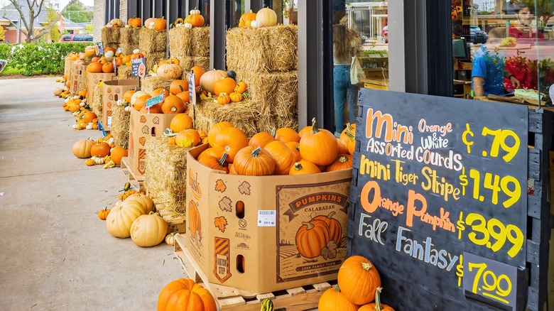 pumpkins outside of Trader Joe's