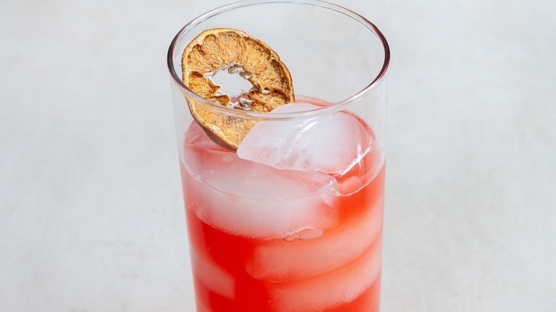 cocktail garibaldi à l'orange séchée