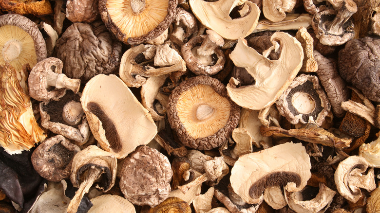 dried shiitake and portobello mushrooms