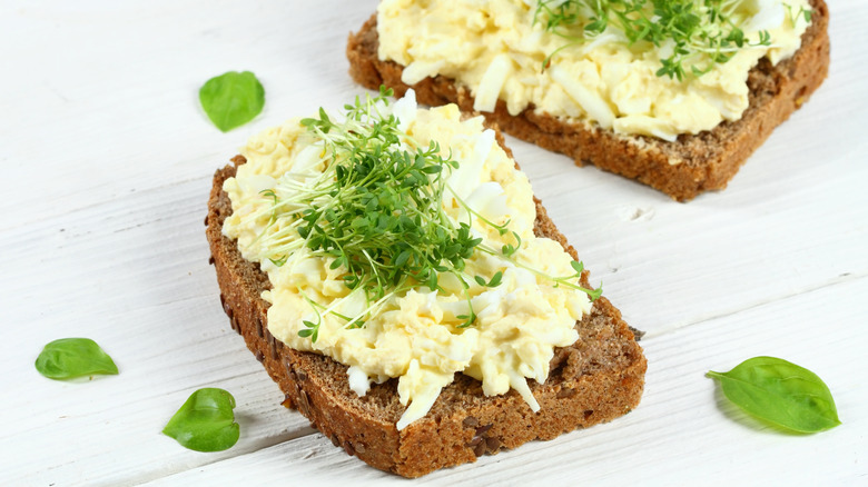 Open face egg salad sandwich with microgreen garnish