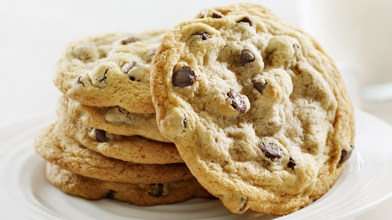 Stack of chocolate chip cookies.