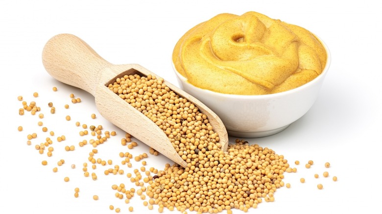 Mustard seeds and mustard on a white background