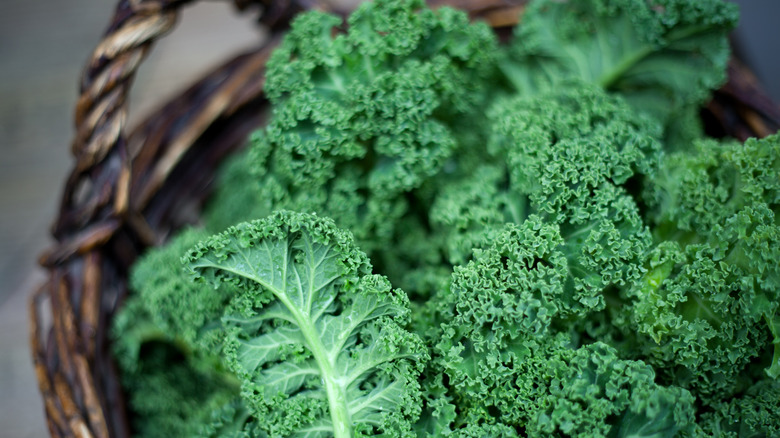 basket of kale