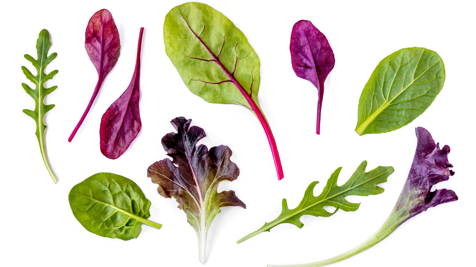 20 Types of Greens to Spruce Up Your Meals