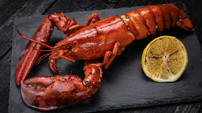 Cooked whole lobster with charred lemon