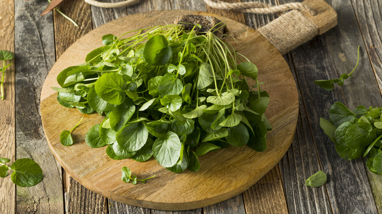 Watercress on a cutting board