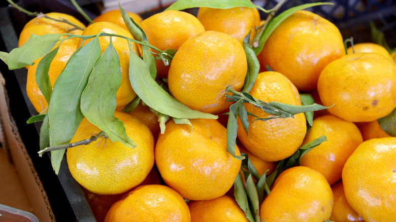 box of fresh oranges