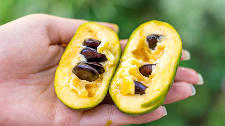 cut open pawpaw