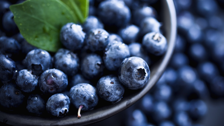 Blueberries in a bowl