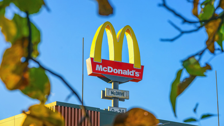 The yellow and red McDonald's sign over a building with blurry leaves in the foreground