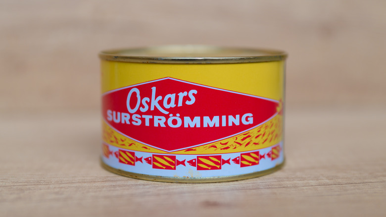 yellow and red surstromming can