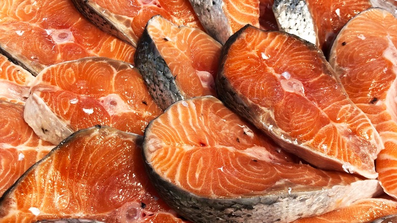 Group of raw salmon steaks