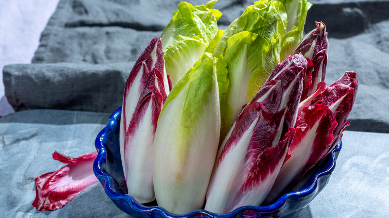 Radicchio and Belgian endive in a blue bowl 