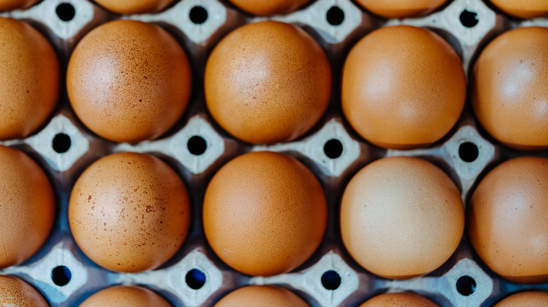 Close up photo of rows of brown eggs in carton