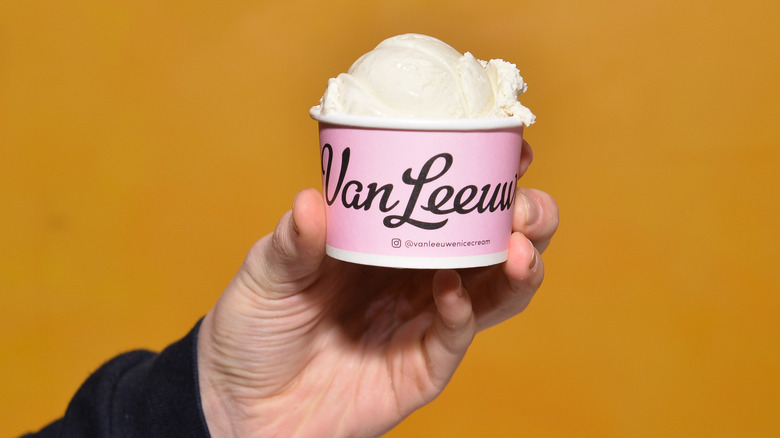 Cup of Van Leeuwen ice cream