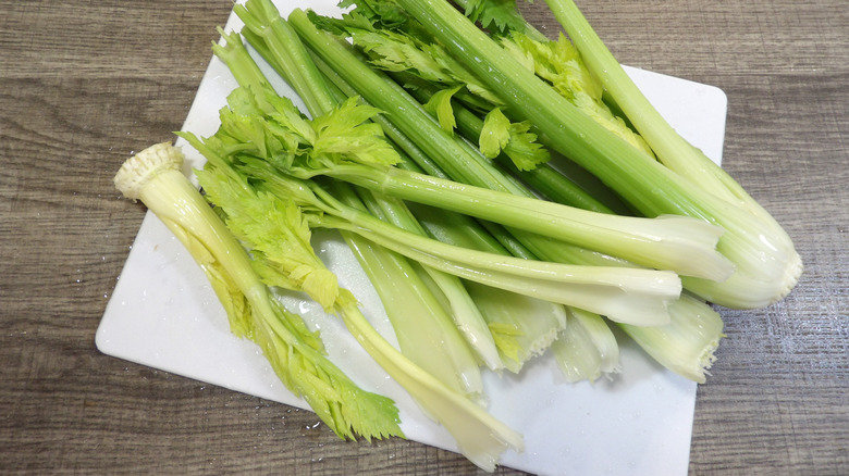 Celery stalks on white plate on table