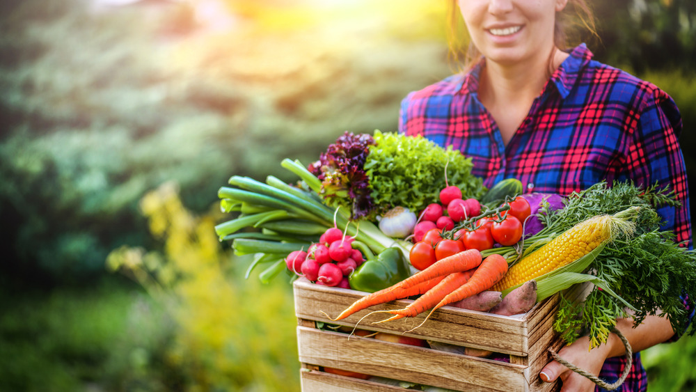 woman in plaid shirt holding wooden crate full of vegetables