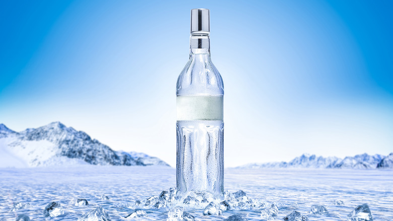 vodka bottle in ice