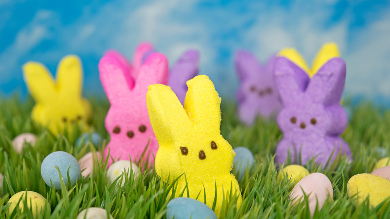Colorful peep bunnies in grass