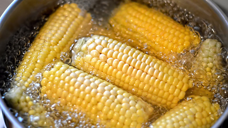 Corn cobs in boiling water