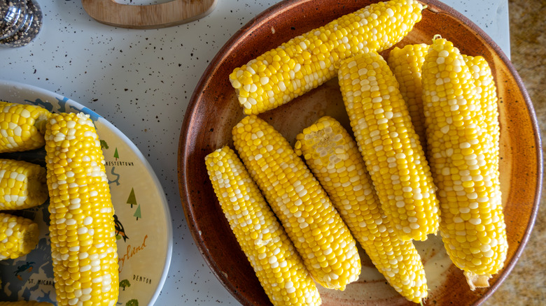 Corn cobs with yellow and white kernels
