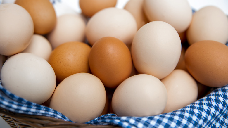 Washed Vs Unwashed Eggs: How Do They Differ?
