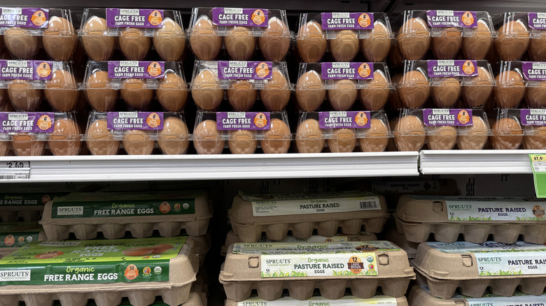 Eggs on store shelf