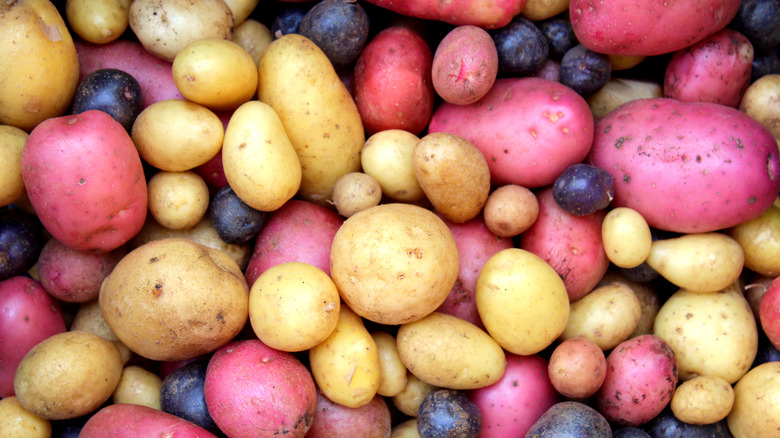 Mix of several different potatoes