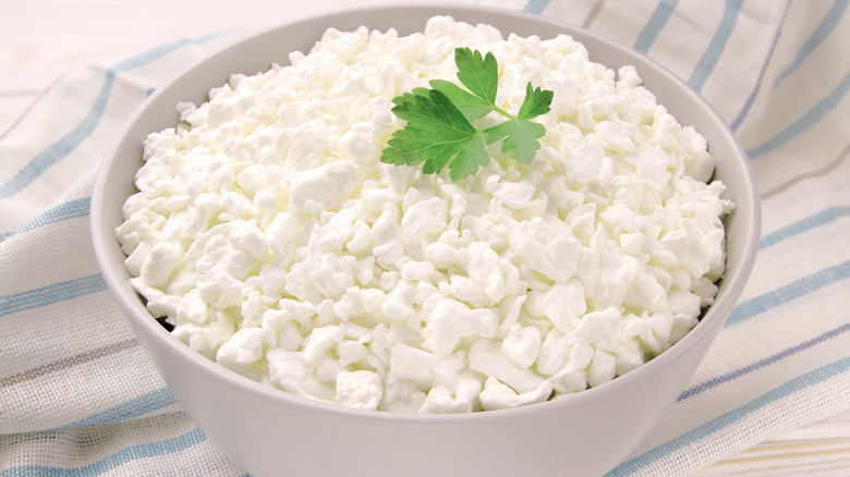 Cottage cheese in a gray bowl with sprig of parsley