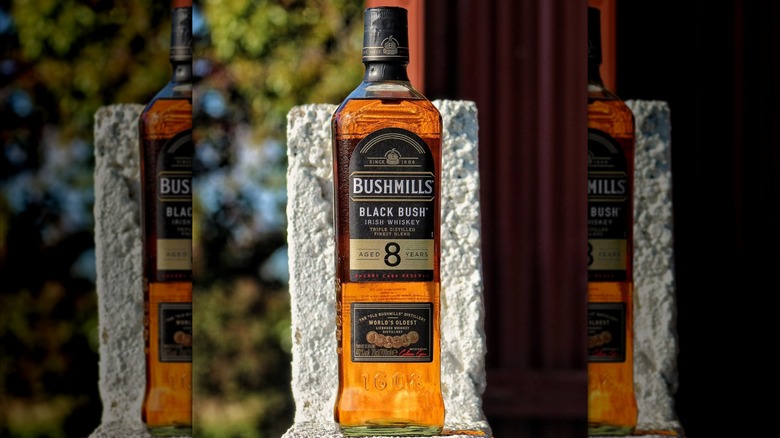 bottle of Bushmills Black Bush Irish Whiskey in front of a blurred outdoor backdrop